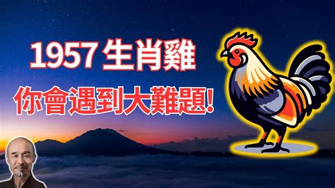 1993屬雞2024運勢|1993年屬雞人2024年運勢及運程男，93年31歲生肖雞2024年全年。